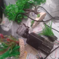 معاوضه با کفتر