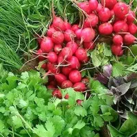 سبزی خوردن دسته چی