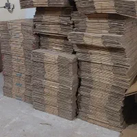 کارتن