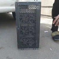 ماینر سالم درحد آمریکایی