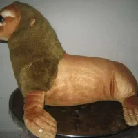 عروسک خارجی، بزرگ