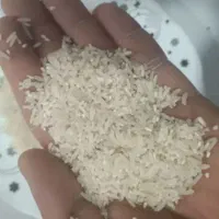 برنج فجر سالم درجه یک کیلو ۲۵۰