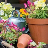 باغبانی و باغداری و درختکاری