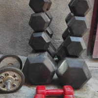 دمبل هالتر / وزنه بدنسازی باشگاه خانگی