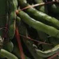 باقالی|خوردنی و آشامیدنی|کاشان, امیرکبیر|دیوار