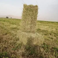 خرید و فروش انواع محصولات کشاورزی