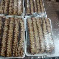 کباب گیر . پیک موتوری . نیروی ساده برای آشپزخانه
