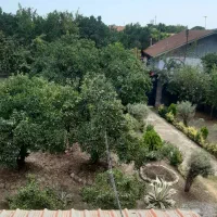 خونه باغ