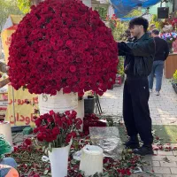 سبد گل انواع دست گل ارسال پیک