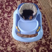 روروئک