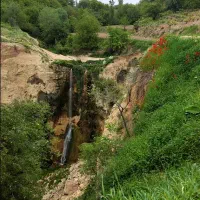 زمین کشاورزی