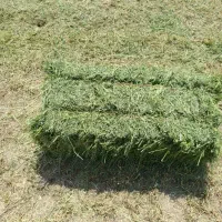 یونجه بسته بندی شده