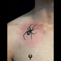 تتو بدن|خدمات آرایشگری و زیبایی|اردبیل, |دیوار