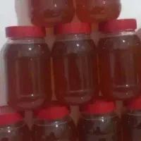عسل کوهی