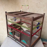 قفس پرنده