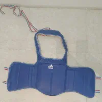 هوگو ووشو