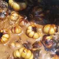 سیر ترشی پخته درشت بار