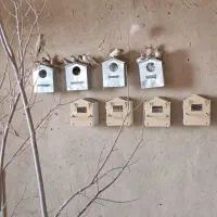 فنچ کینگ