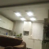 همخونه خانم