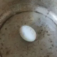 دعا|کتاب و مجله مذهبی|تهران, مظاهری|دیوار