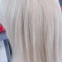 رنگو لایت.کراتین.خاویاور تراپی
