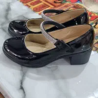 کفش مجلسی