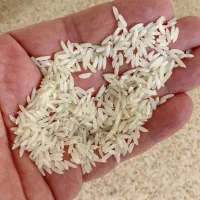 ۲۱۰ کیلو برنج علی کاظمی قیمت ۲۹۵۰۰۰ هزار