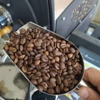 قهوه تازه رست