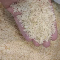 برنج هندی قیمت مناسب