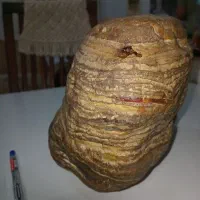 سنگ چند میلیون ساله با ارزش زمین شناختی بالا ۵کیلو