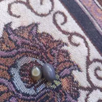 نگین انگوشتر