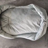 آغوشی نوزادی