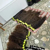 قژ اسنم