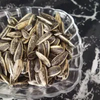 تخمه گل افتاب