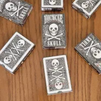 پاستور بایسکل اورجینال بایسکل طرح اسکلت