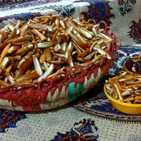 رطب خشک(چیپس رطب)