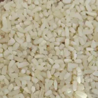 برنج نیم دانه ، سر لاشه ، عنبر بو
