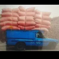 کاه نخود