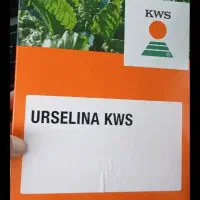 بذراورسلینا اصل