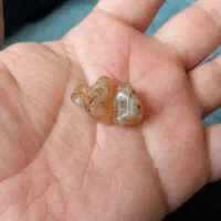 مهره برد کهنه باستانی بدون سوراخ