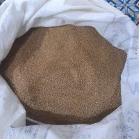 بذر یونجه بو جاری شده