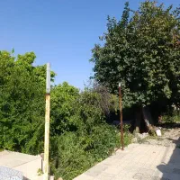 ویلا-باغ