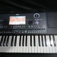 pa600GT|پیانو، کیبورد، آکاردئون|میاندوآب, |دیوار