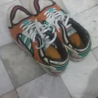 کفش و کتونی