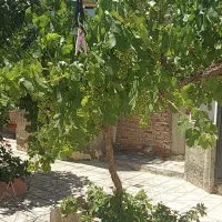 فروش-ساختمان-مسکونی-ویلایی