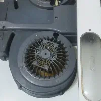 هود