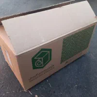 کارتن زرشک وحبه عناب