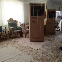 کارتون یخچال دو قلو دوو