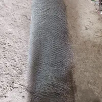 تور سالم
