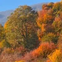 94متر 2خواب (شیان) لویزان حسین آباد هروی